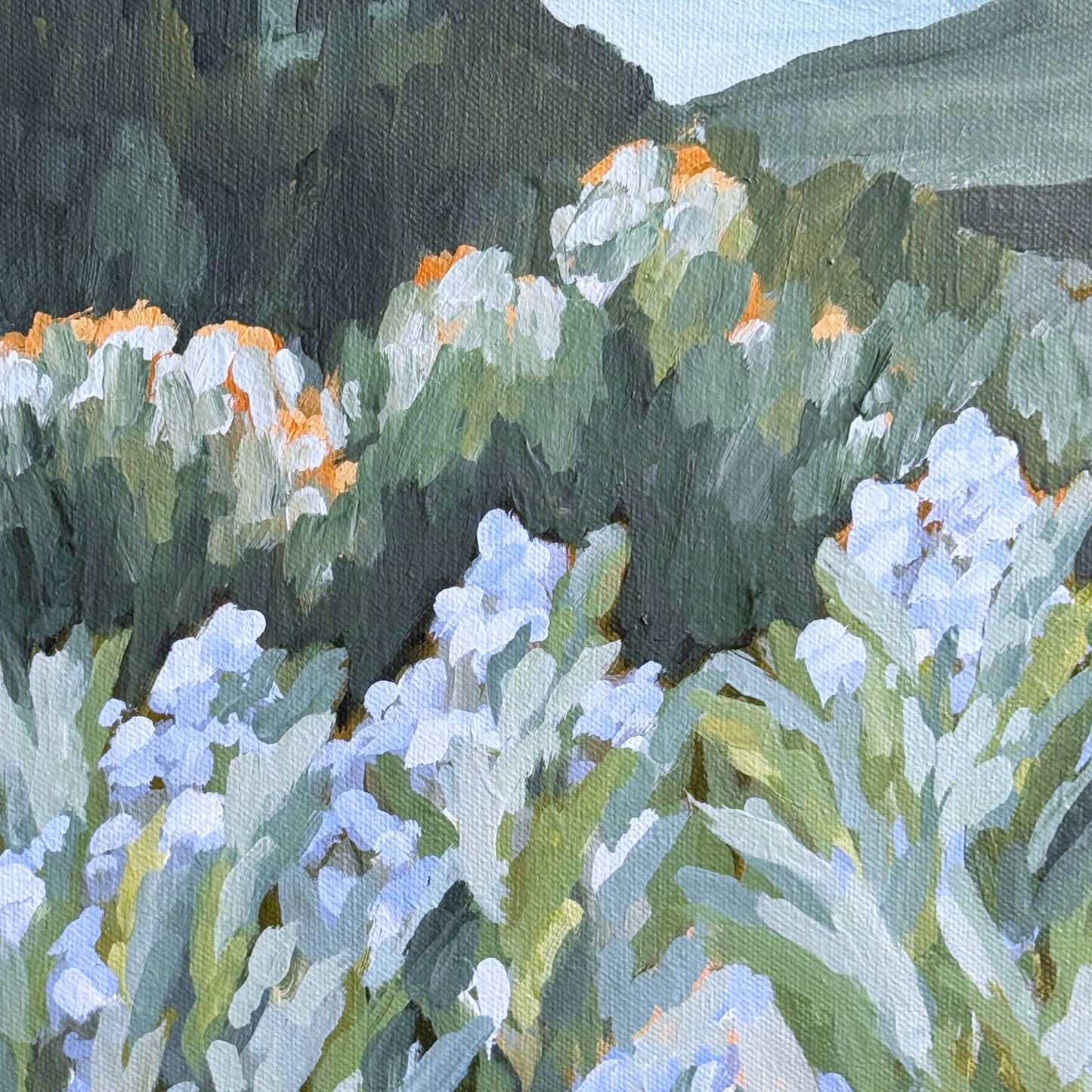 ’Blue