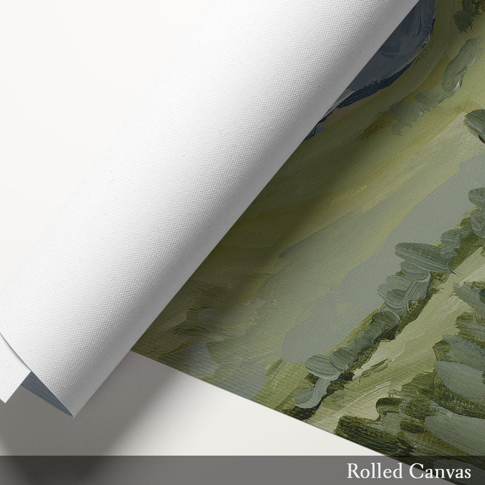 Colorado Mountain Wall Art - 