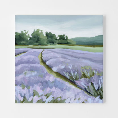 ’Lavender Foothills’ Art Print - Stretched Canvas / 10x10 in / No Frame - Lavender Field Wall - Artwork - Landscape